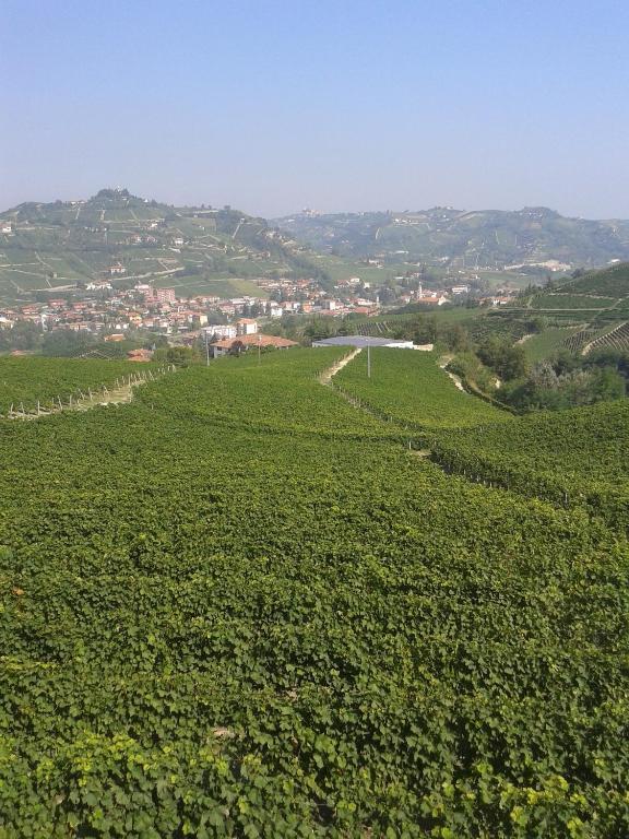 Agriturismo Ai Piacentini Santo Stefano Belbo Buitenkant foto